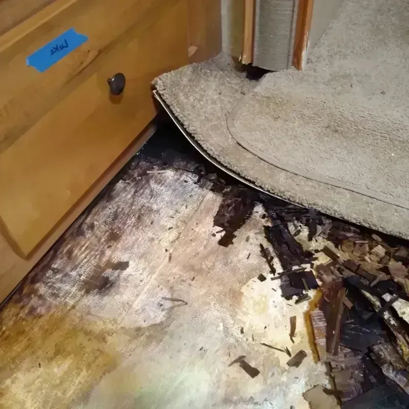 Wood Floor Water Damage in Shiloh, OH